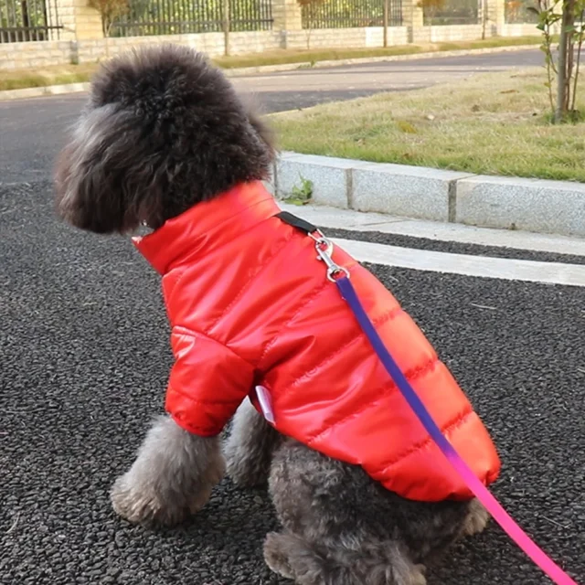 Disfraz de perro de invierno, ropa cálida para perros pequeños, abrigo para Chihuahua Yorkie, ropa gruesa de cuero PU, chaqueta para perro, trajes para mascotas XS-XL - Image 5