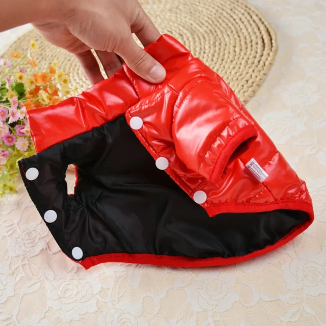 Disfraz de perro de invierno, ropa cálida para perros pequeños, abrigo para Chihuahua Yorkie, ropa gruesa de cuero PU, chaqueta para perro, trajes para mascotas XS-XL - Image 3