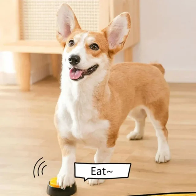 Botones de comunicación para perros, botón de grabación de voz para entrenamiento de mascotas, zumbador, reproducción de registros de 30 segundos, regalo divertido para mascotas parlantes - Image 3