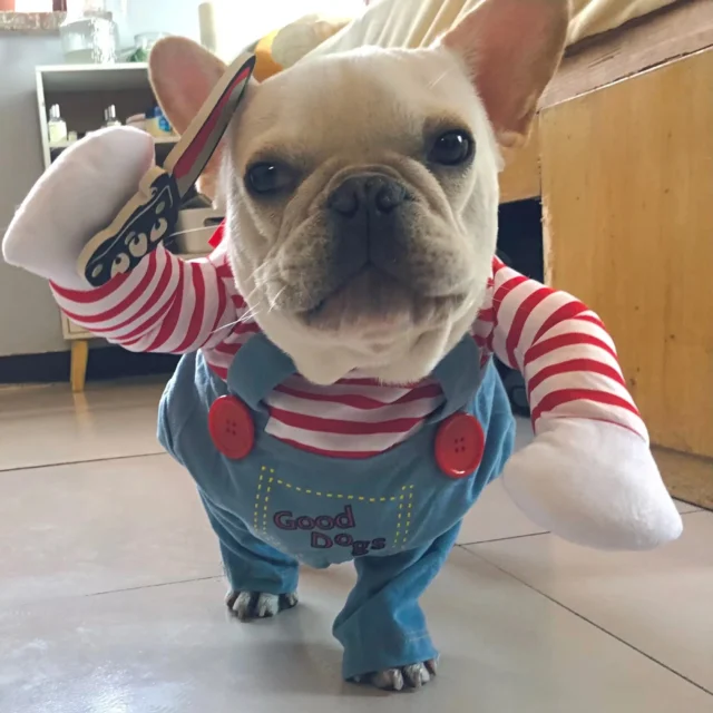Ropa divertida de Halloween para perros pequeños y medianos, disfraces de fiesta para gatos, Bulldog, Chihuahua francesa, trajes para mascotas